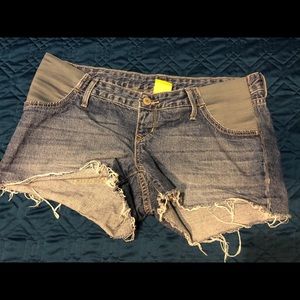 Maternity Shorts
